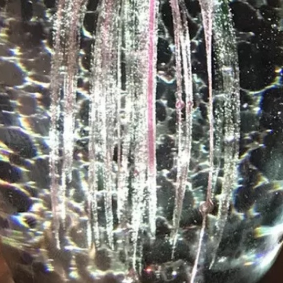 Glass jellyfishMoon Jellyfish Paperweight Murano Hand Blown Glass Art ~ Sea Life - Picture 3 of 3